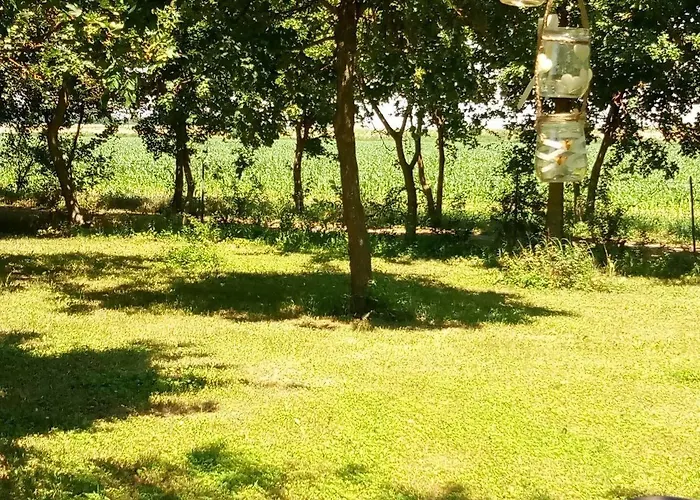 Gæstehus La Barchessa *